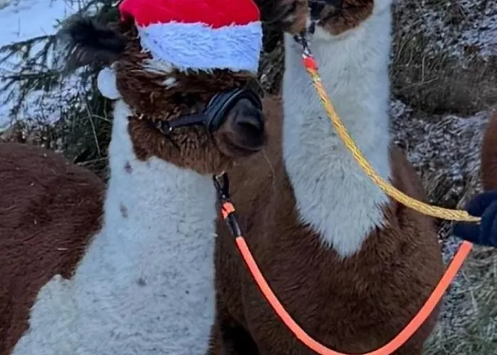 Biancas Im Haus Roswitha *